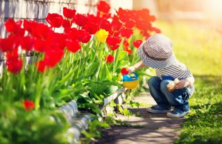 sognare, primavera, interpretazione