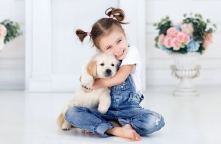 bambini, cura, cuccioli