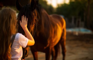 passeggiate cavallo bambini