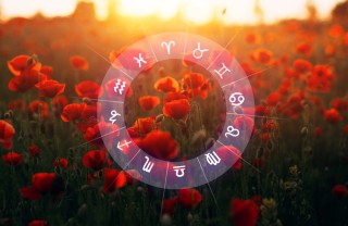 fiori segni zodiacali, fiore segno zodiacale