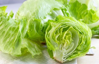 Lattuga
