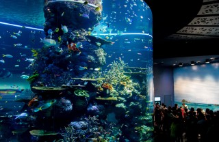 Sea Aquarium