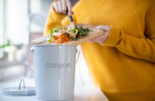 Compost