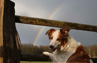 La leggenda del  Ponte dell'Arcobaleno