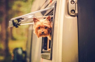 Orari del silenzio nel campeggio