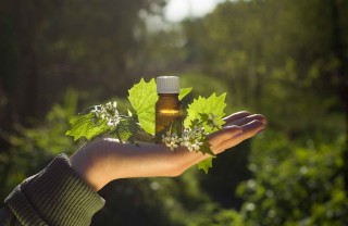 Come si diventa naturopata