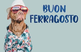 Ferragosto