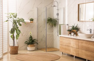 Piante da bagno