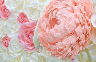 peonie carta giganti