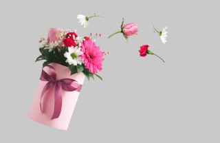 Pianta da regalare alla sposa