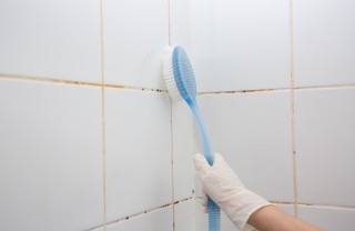 Muffa bagno