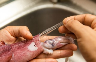 Pulizia calamari