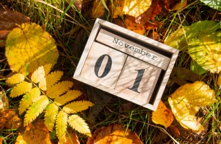 Calendario novembre 2022 calendario novembre 2022 da stampare, calendario novembre 2022