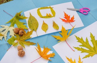 cosa fare con le foglie d'autunno, foglie autunno idee