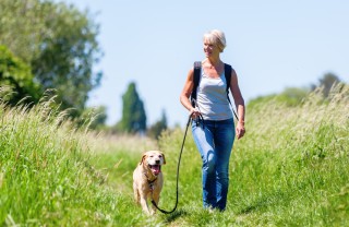 Passeggiare con cane