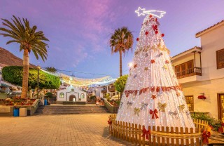 Canarie a dicembre