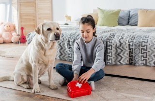 Pronto soccorso per animali