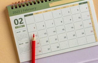 Calendario febbraio 2023 calendario febbraio 2023 da stampare, calendario 2023 da stampare