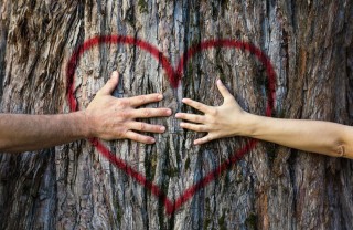 Due mani poggiate su un cuore disegnato su un albero san valentino sostenibile, san valentino idee