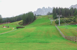 sci su erba