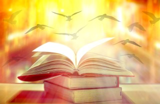 Un libro aperto dal quale si slanciano degli uccelli in volo che cos'è la giornata internazionale della poesia, giornata internazionale poesia, giornata mondiale poesia