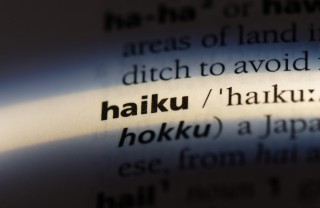 haiku esempi