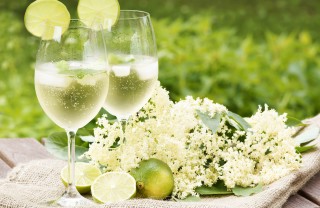 Hugo Cocktail
