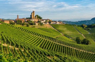 Langhe