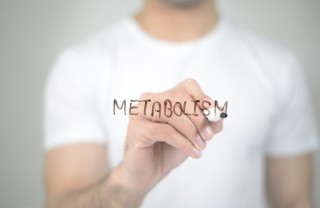 metabolismo