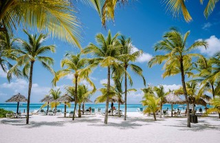 Aruba Aruba