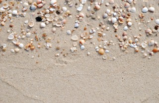 Giochi creativi con le conchiglie giochi creativi conchiglie