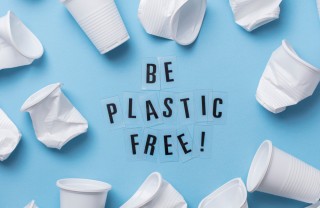 plastic free