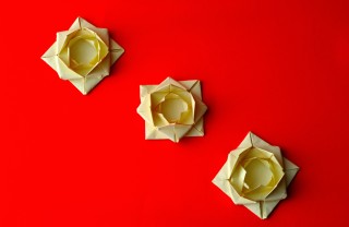 fiori origami facili