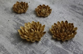 decori gusci pistacchio