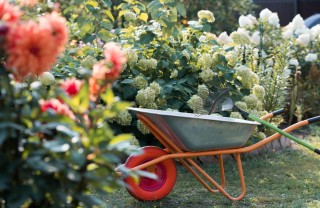 cosa fare nel giardino a settembre, lavori giardino settembre