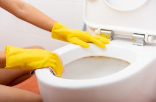 pulizia wc pulizia wc