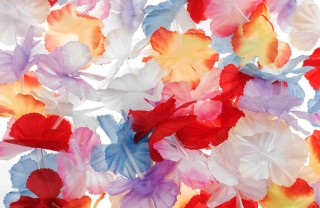 Fiori hawaiani fai da te