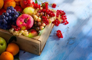 frutta di settembre frutta di settembre