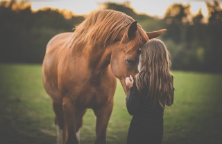 Cavallo