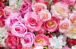 mazzo di rose
