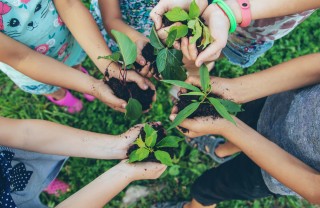 educazione alla sostenibilità 