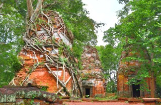 Cambogia