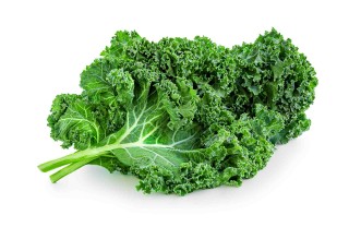 cavolo 