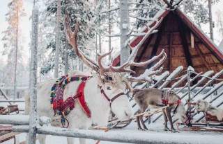 casa di Babbo Natale a Rovaniemi casa di Babbo Natale a Rovaniemi