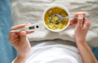 dieta dell'influenza