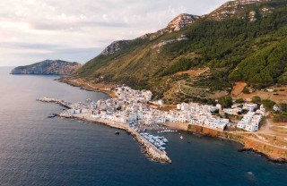 I leoni di Sicilia