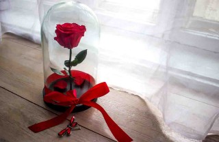 rose stabilizzate