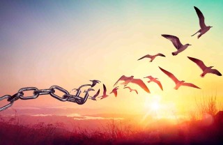 Frasi sulla libertà