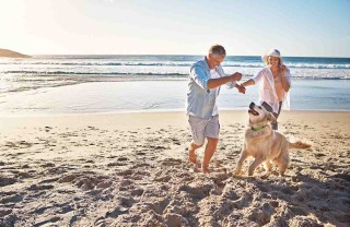 Spiagge per cani