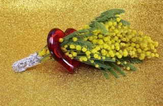 auguri per la Festa della donna